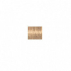 Schwarzkopf Professional Igora Royal Permanent Color Creme Plaukų dažai 60ml