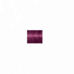 Schwarzkopf Professional Igora Royal Permanent Color Creme Plaukų dažai 60ml