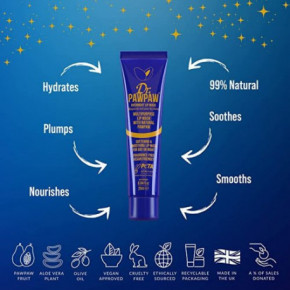 Dr.PAWPAW Overnight Lip Mask Nakts maska lūpām 25ml