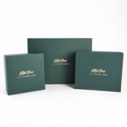 KlipShop Premium Žalia dovanų dėžutė M 