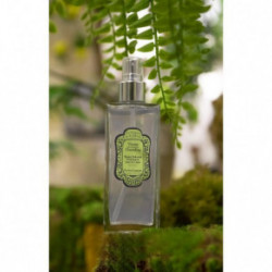 La Sultane De Saba Green Tea and Ginger Moisturising Body Mist Drėkinamoji kūno dulksna 200ml