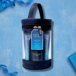 Baylis & Harding Citrus Lime & Mint Luxury Wash Bag Gift Dušo priemonių rinkinys vyrams Rinkinys