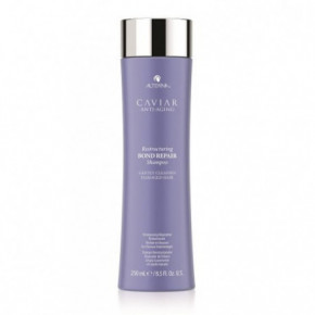 Alterna Caviar Restructuring Bond Repair Shampoo Atjaunojošs matu šampūns 250ml