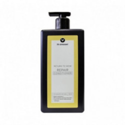 HH Simonsen Repair Conditioner Plaukus atkuriantis kondicionierius 250ml